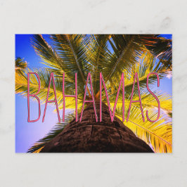 Bahamian Tree Postkarte