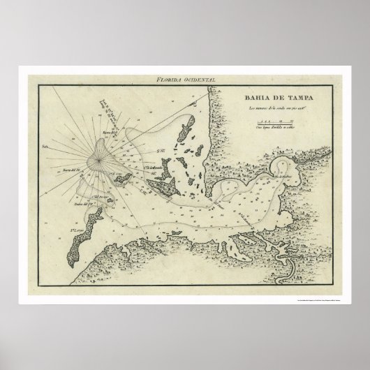 Bahia De Tampa Florida Karte 1809 Poster (Vorne)