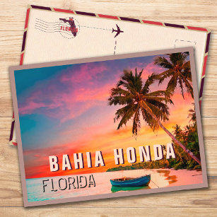 Bahia Honda Key Florida Tropical Palm Tree 1950er Postkarte