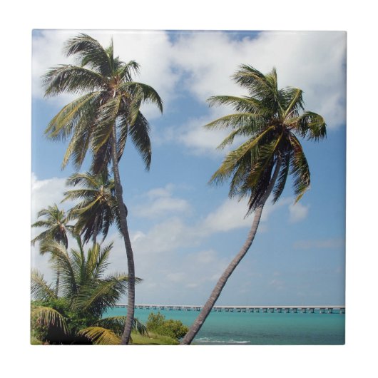 Bahia Honda Staat Park Fliese (Vorderseite)