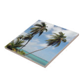 Bahia Honda Staat Park Fliese (Seite)