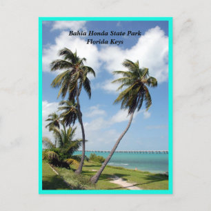 Bahia Honda Staat Park Florida Keys Foto Printing Feiertagspostkarte