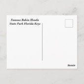 Bahia Honda Staat Park Florida Keys Postkarte (Rückseite)