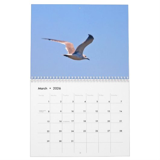 Bahia Honda Staat Park Kalender (Mär 2026)
