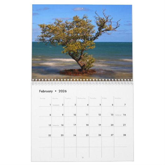 Bahia Honda Staat Park Kalender (Feb 2026)