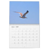 Bahia Honda Staat Park Kalender (Mär 2027)