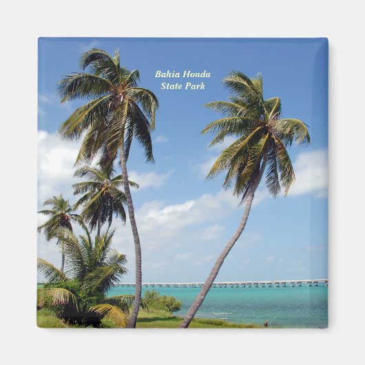 Bahia Honda Staat Park Magnet (Vorne)