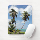 Bahia Honda Staat Park Mousepad (Mit Mouse)