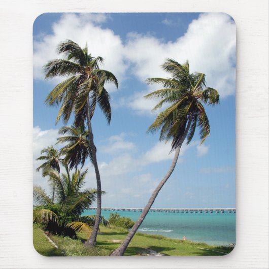 Bahia Honda Staat Park Mousepad (Vorne)