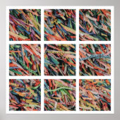 Bahia Poster (Vorne)