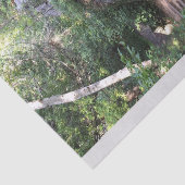 Bahn durch Bäume Seidenpapier (Ausschnitt)