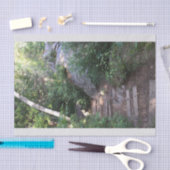 Bahn durch Bäume Seidenpapier (Handwerk)