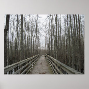 Bahn durch die Wildnis Poster