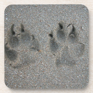 Bahnen des Hundes im Sand Getränkeuntersetzer