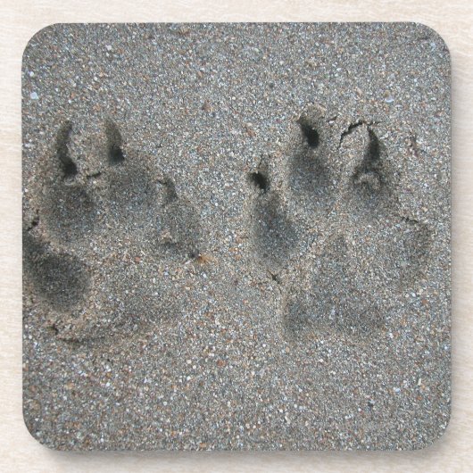 Bahnen des Hundes im Sand Getränkeuntersetzer (Vorderseite)
