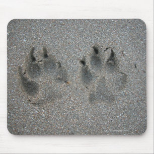 Bahnen des Hundes im Sand Mousepad
