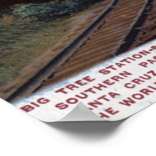 Bahnhof Big Tree Poster (Ecke)