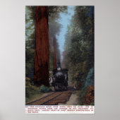 Bahnhof Big Tree Poster (Vorne)