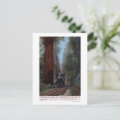 Bahnhof Big Tree Postkarte (Stehend Vorderseite)