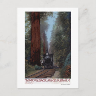 Bahnhof Big Tree Postkarte