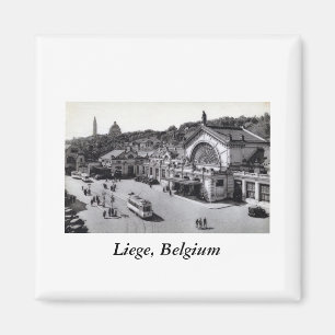 Bahnhof Guillemins, Lüttich Belgien Vintage Magnet