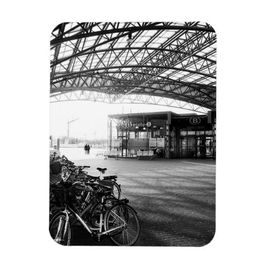 Bahnhof Halle, Belgien Magnet (Vertikal)