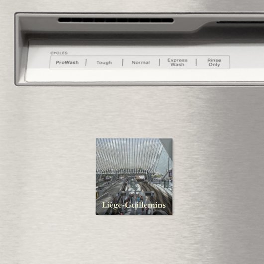 Bahnhof Liège-Guillemins Magnet (In Situ (Geschirrspüler))