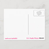 Bahnspur Postkarte (Rückseite)