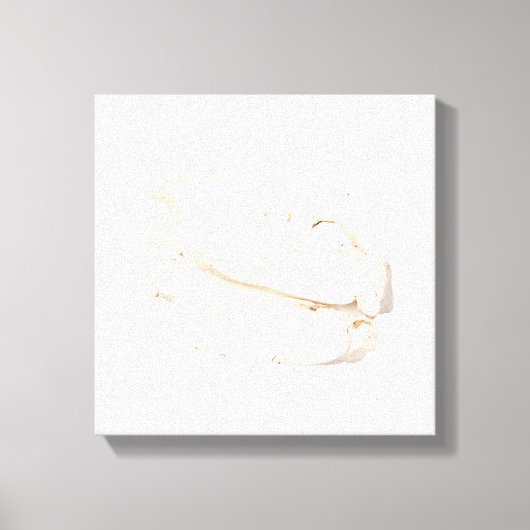 Bai Shao Canvas Print Leinwanddruck (Vorderseite)