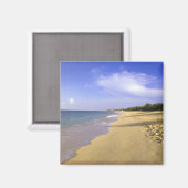 Baie Longue Long Bay Beach, St. Martin, Magnet (Vorderseite/Rückseite)