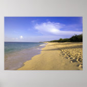 Baie Longue Long Bay Beach, St. Martin, Poster (Vorne)