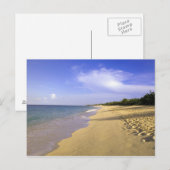 Baie Longue Long Bay Beach, St. Martin, Postkarte (Vorne/Hinten)