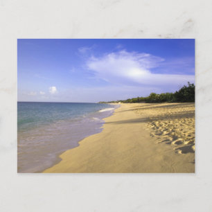 Baie Longue Long Bay Beach, St. Martin, Postkarte