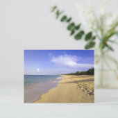 Baie Longue Long Bay Beach, St. Martin, Postkarte (Stehend Vorderseite)
