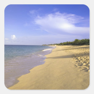 Baie Longue Long Bay Beach, St. Martin, Quadratischer Aufkleber