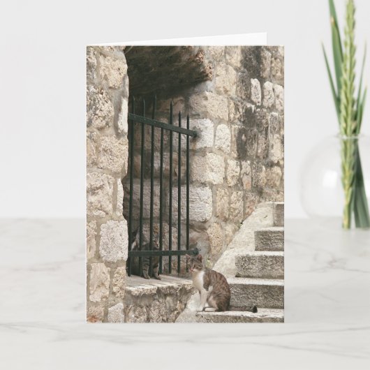 "bail me out" Card (blank inside) Karte (Vorderseite)