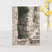 "bail me out" Card (blank inside) Karte (Gelbe Blume)