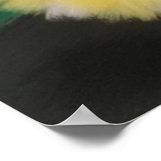 Bailarinas con preciosos colores vivos poster (Ecke)