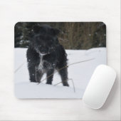 Bailey das Patterdale Terrier Mousepad (Mit Mouse)