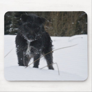 Bailey das Patterdale Terrier Mousepad