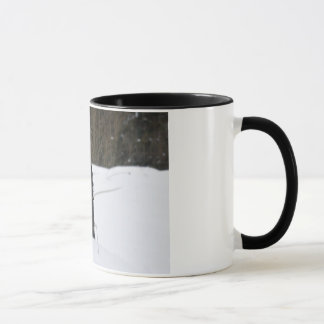 Bailey das Patterdale Terrier Tasse
