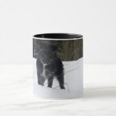 Bailey das Patterdale Terrier Tasse (Zentrum)