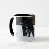 Bailey das Patterdale Terrier Tasse (Vorderseite Links)