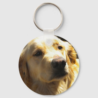 Bailey der Golden Retriever Schlüsselanhänger