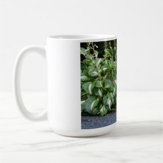 Bailey-Mädchen Kaffeetasse