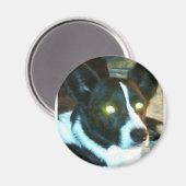 Bailey Magnet (Vorderseite/Rückseite)