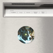 Bailey Magnet (In Situ (Geschirrspüler))