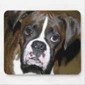 Bailey-nahes hohes mousepad (Vorne)