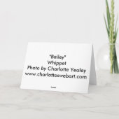 "Bailey" Whippet Foto Grußkarte Karte (Rückseite)