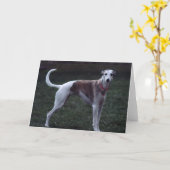 "Bailey" Whippet Foto Grußkarte Karte (Gelbe Blume)